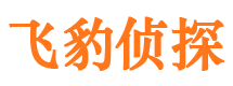 栾川市私家侦探